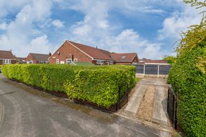 Driveway- click for photo gallery